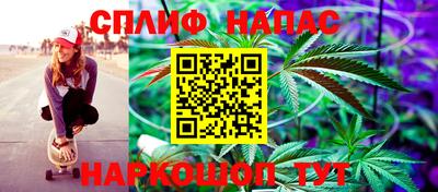 PSILOCYBIN Аша
