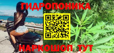 PSILOCYBIN Аша