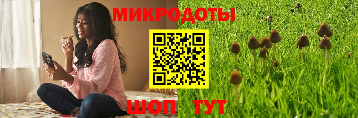 Галлюциногенные грибы Psilocybine cubensis  Вход с VPN  Кириши 