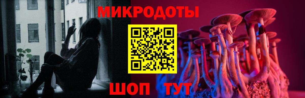 Галлюциногенные грибы Cubensis Кириши